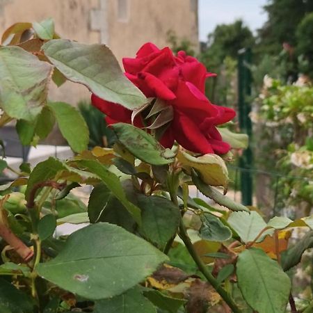 Gite Aux Vieux Bois Lunas  외부 사진