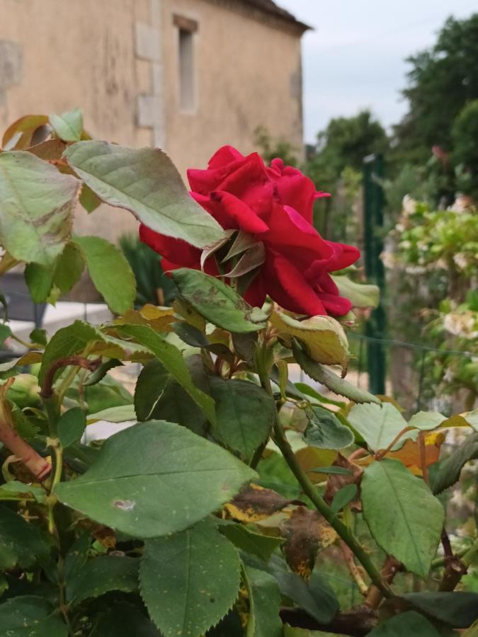 Gite Aux Vieux Bois Lunas  외부 사진